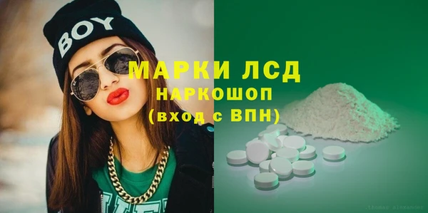 прущие грибы Алексеевка